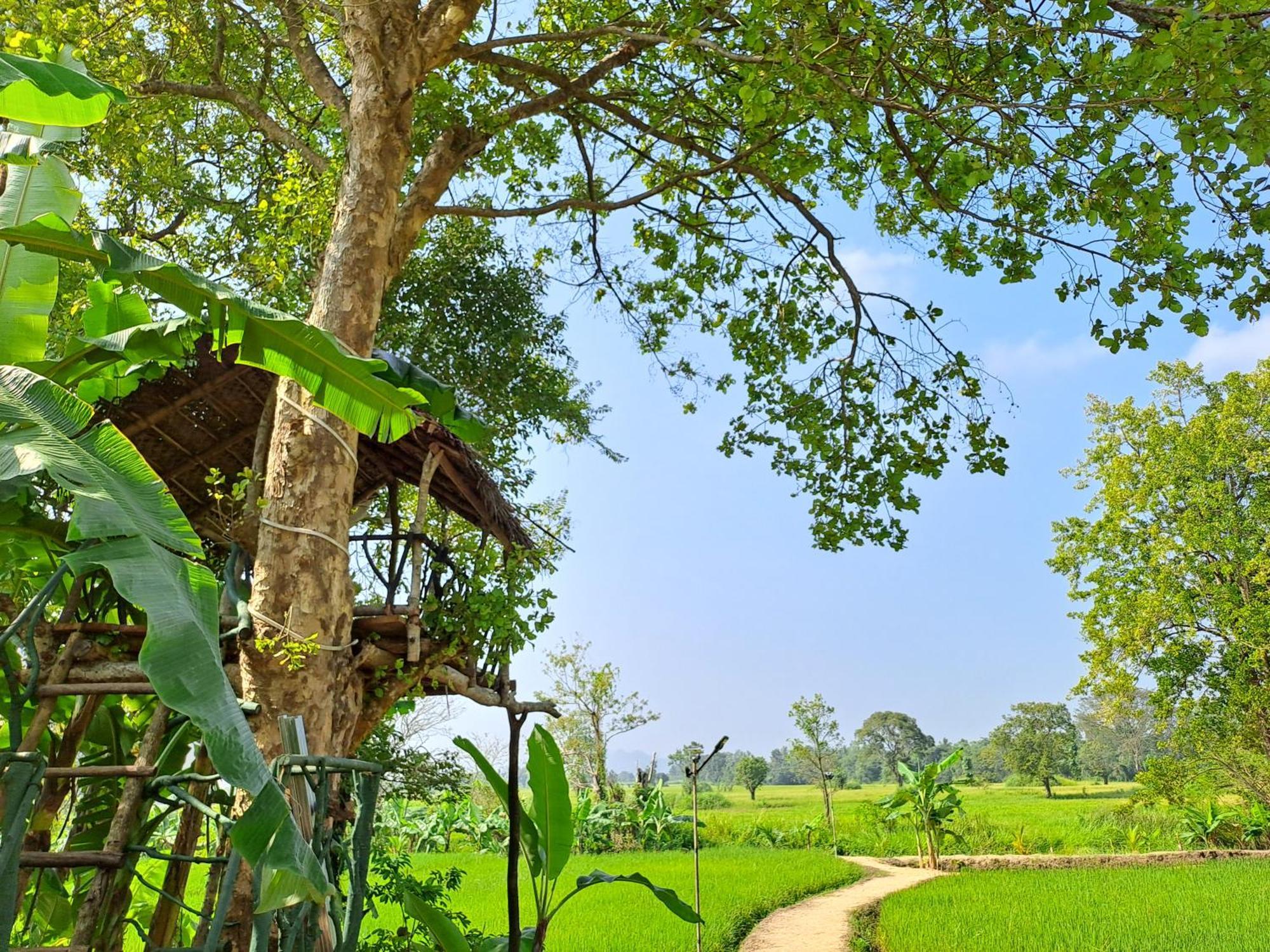 The Nature Park Villa Sigiriya Esterno foto