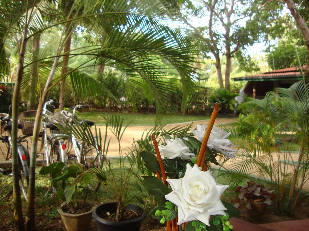 The Nature Park Villa Sigiriya Esterno foto